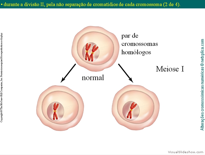 Diapositivo11