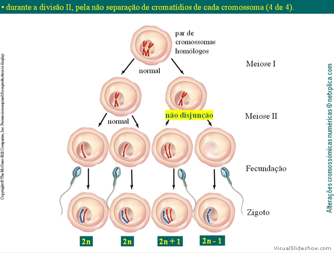 Diapositivo13