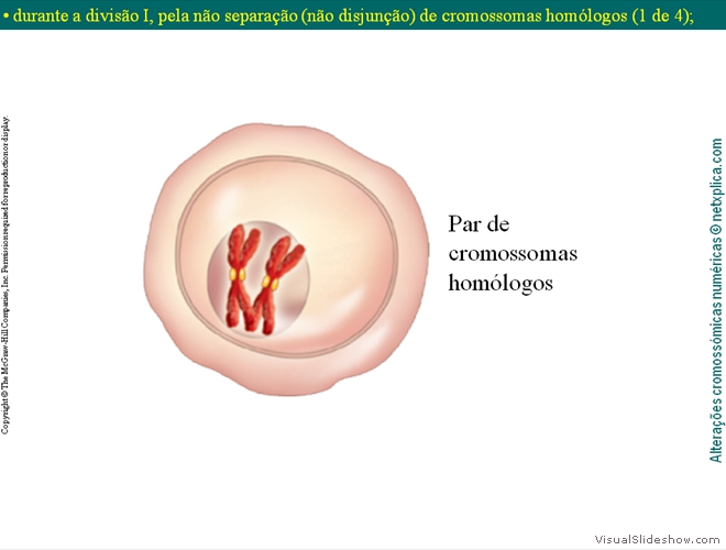 Diapositivo15