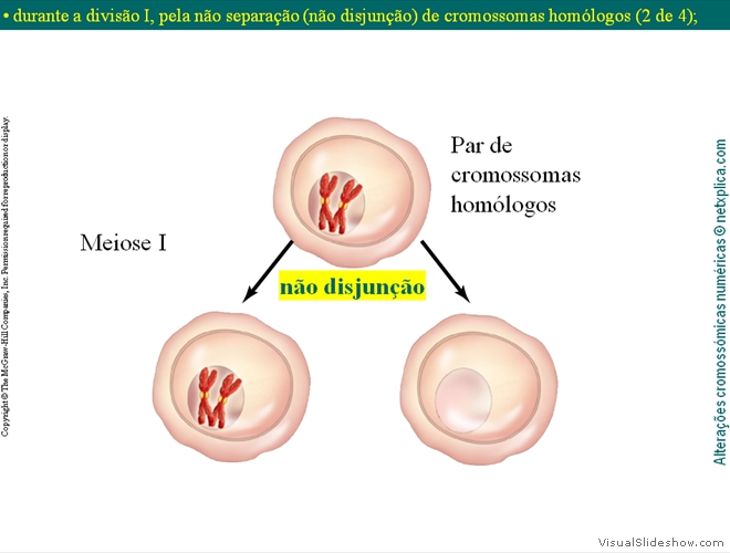 Diapositivo16