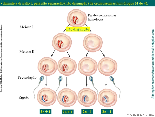 Diapositivo18