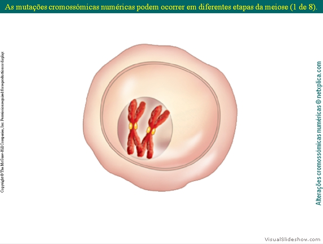 Diapositivo19