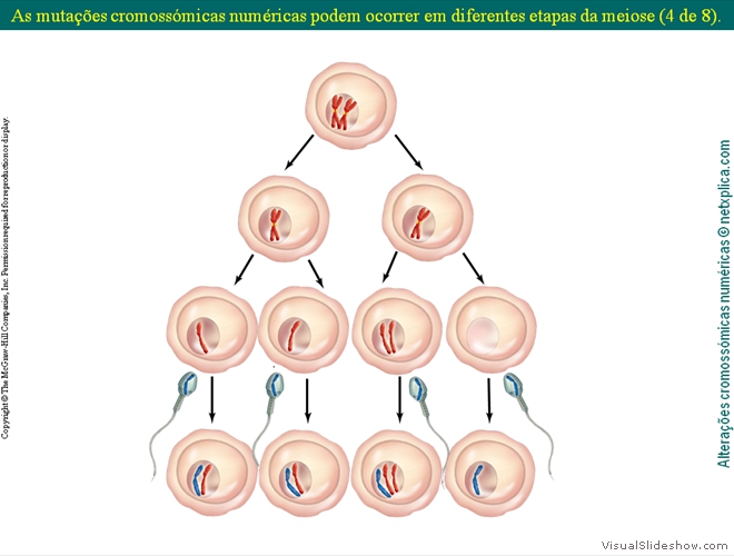 Diapositivo22