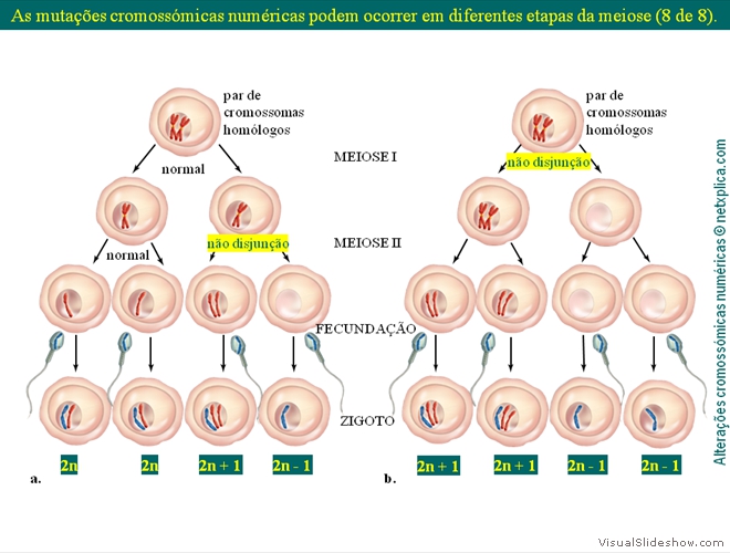 Diapositivo26