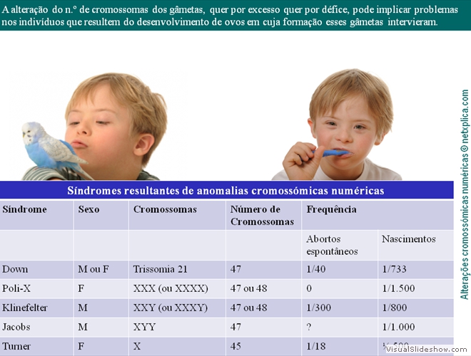 Diapositivo28