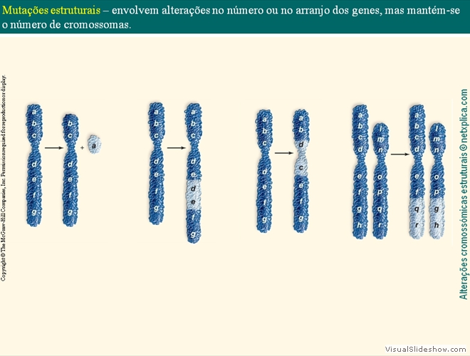 Diapositivo37