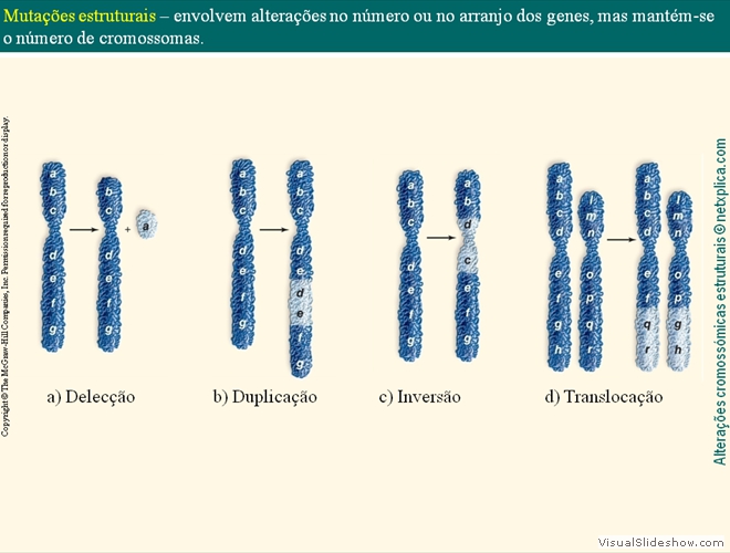 Diapositivo38