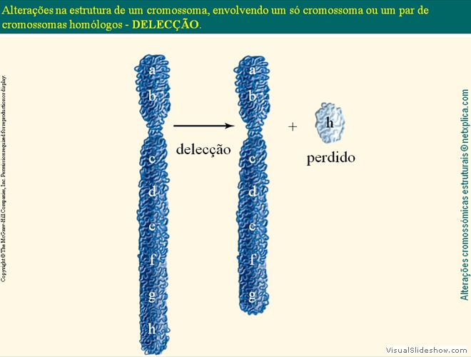 Diapositivo39