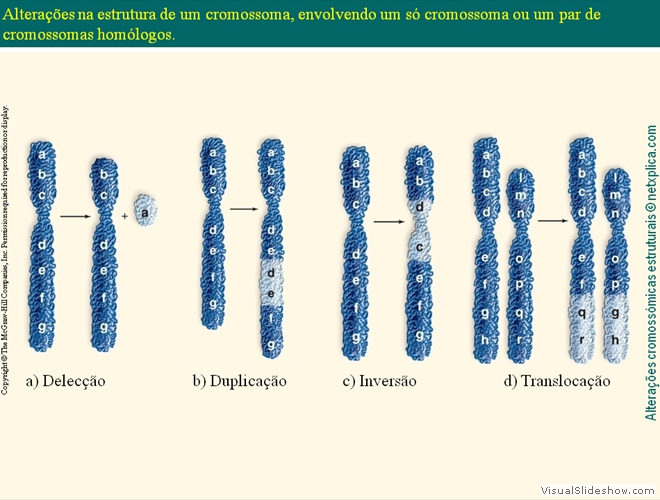 Diapositivo54