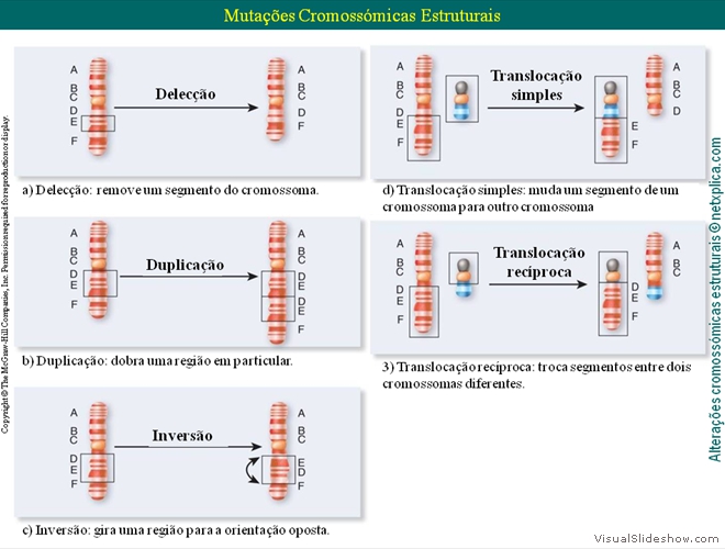 Diapositivo55