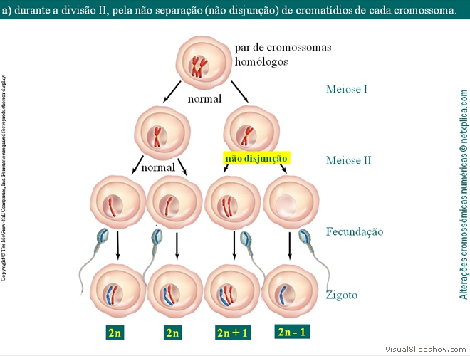 Diapositivo9