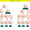 Diapositivo27