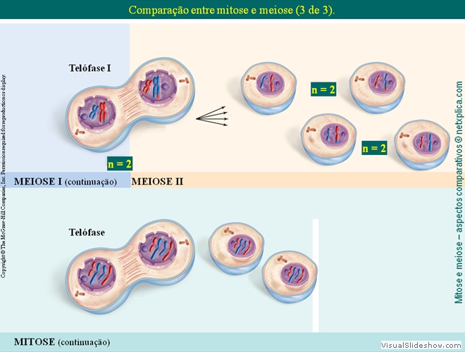 Diapositivo12