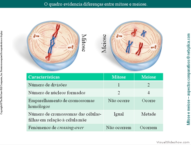 Diapositivo22