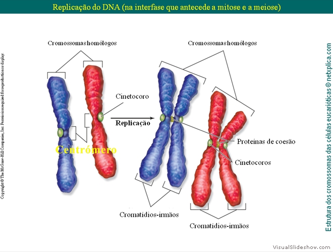 Diapositivo24