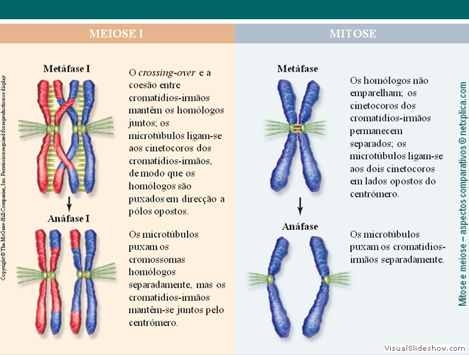 Diapositivo27