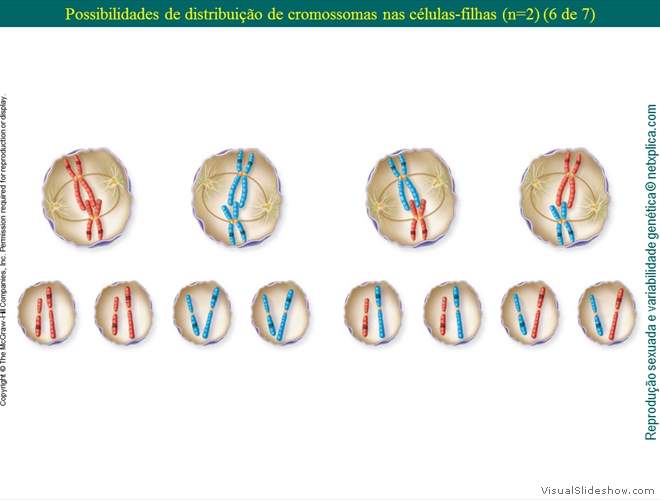 Diapositivo25