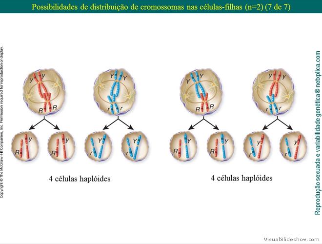 Diapositivo26