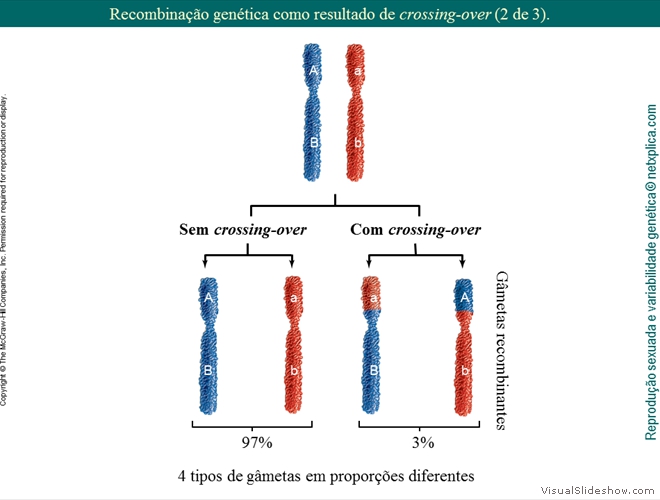 Diapositivo36