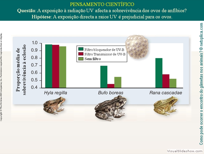 Diapositivo35