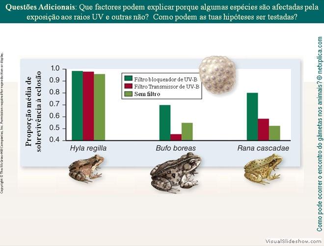 Diapositivo38