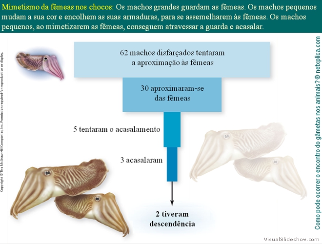 Diapositivo56