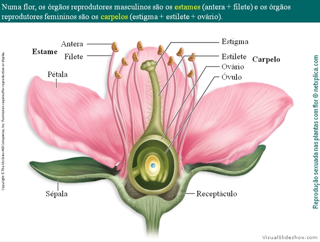 Diapositivo14