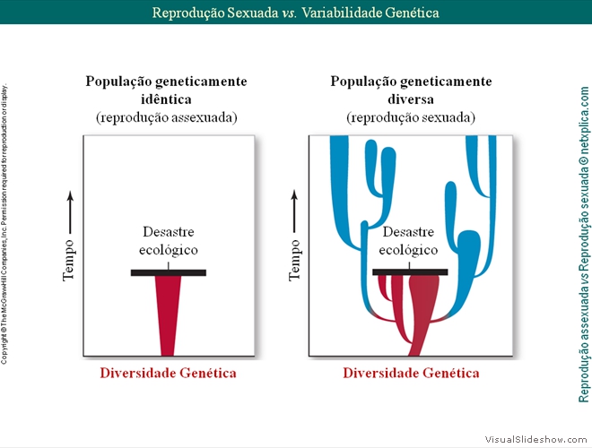 Diapositivo25