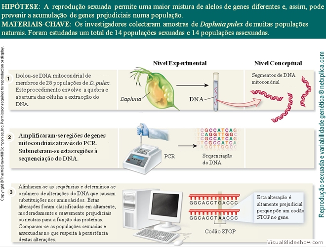 Diapositivo26