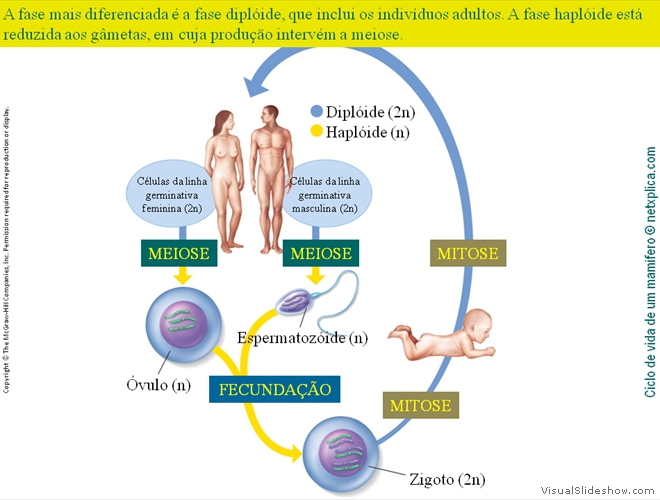 Diapositivo27