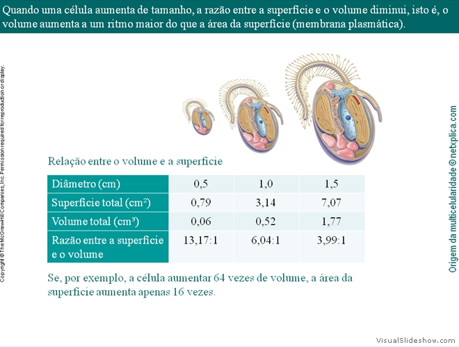 Diapositivo14