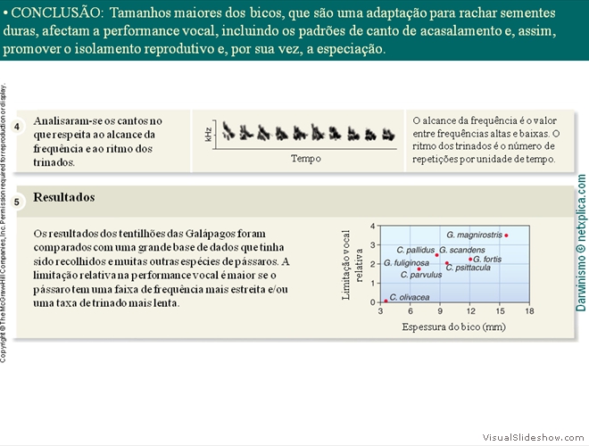 Diapositivo63