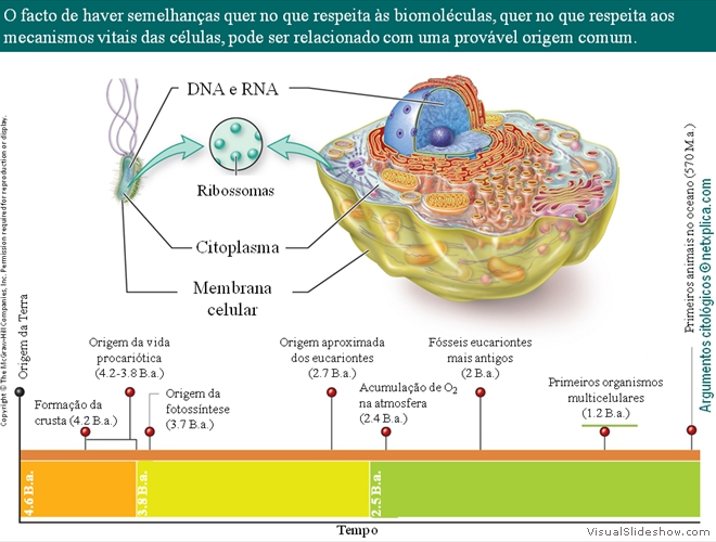 Diapositivo109