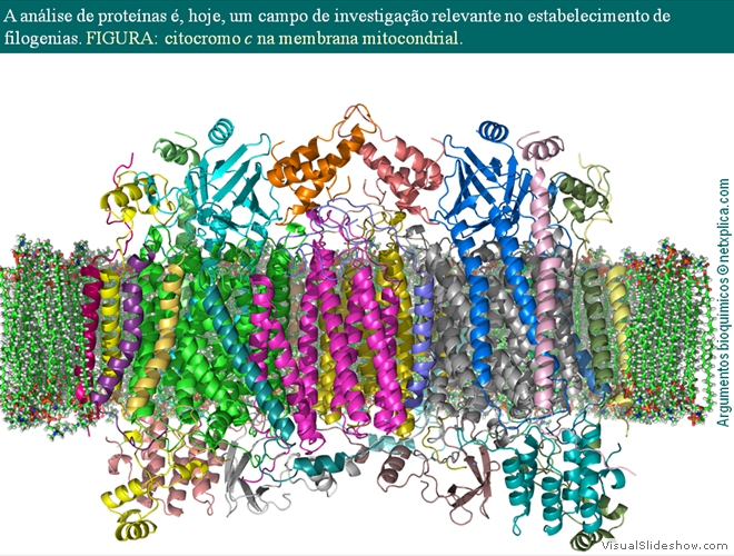 Diapositivo112