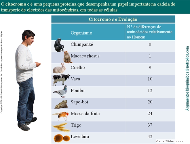 Diapositivo113