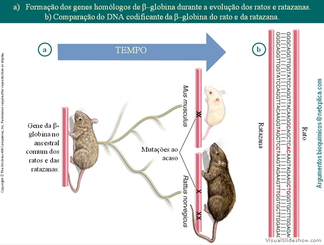 Diapositivo119