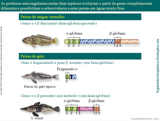 Diapositivo121