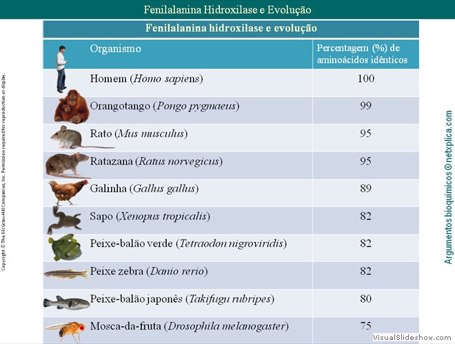 Diapositivo122