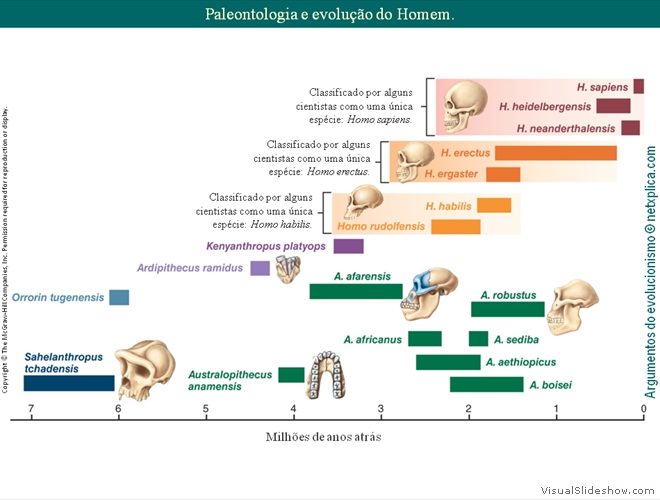 Diapositivo92