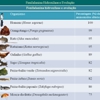Diapositivo122