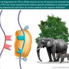 Diapositivo124