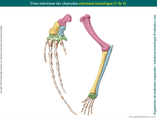 Diapositivo18