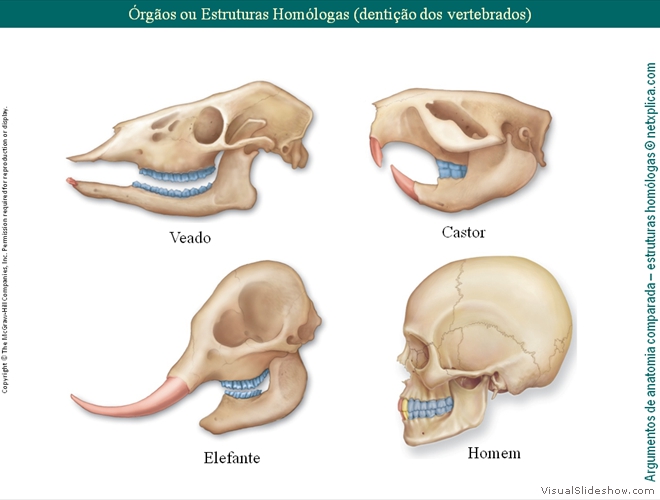 Diapositivo23