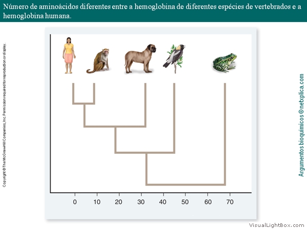 Diapositivo16