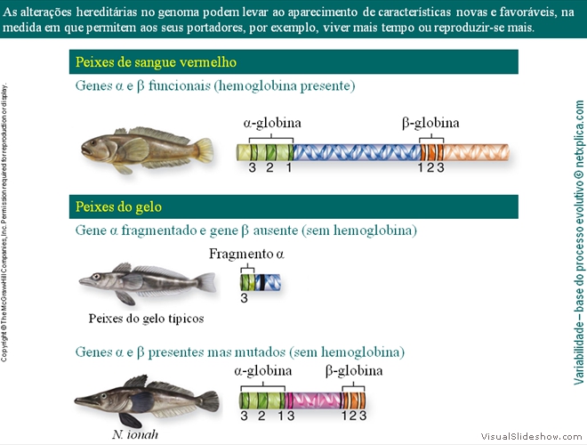 Diapositivo15