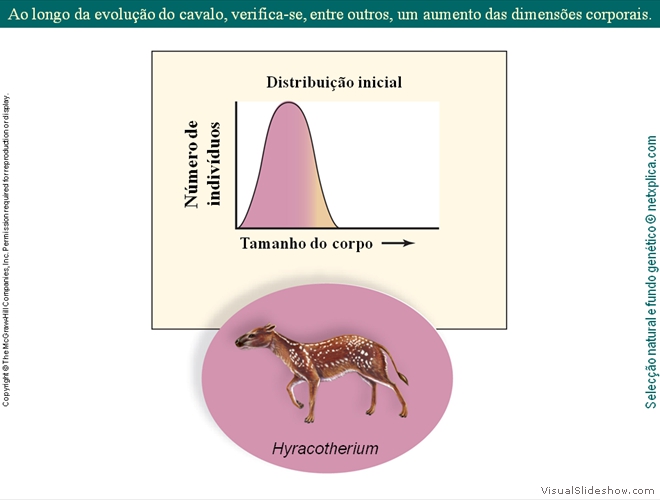 Diapositivo54