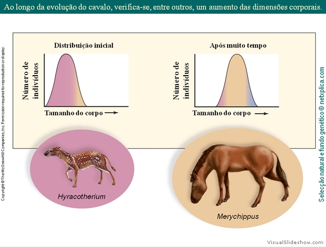 Diapositivo55