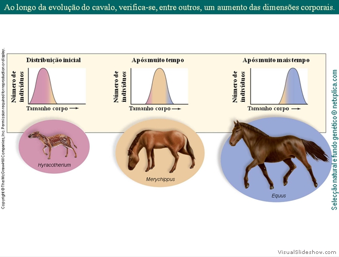 Diapositivo56