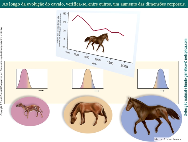 Diapositivo57