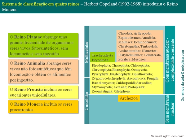 Diapositivo14